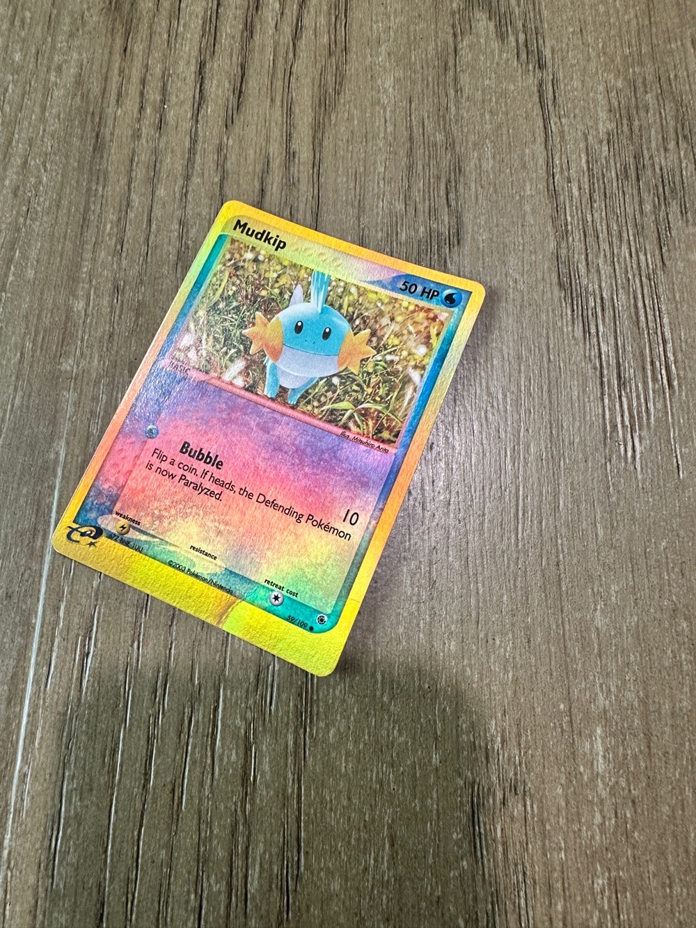 Mudkip  Pokémon Card - Halo - Picture 4 of 6